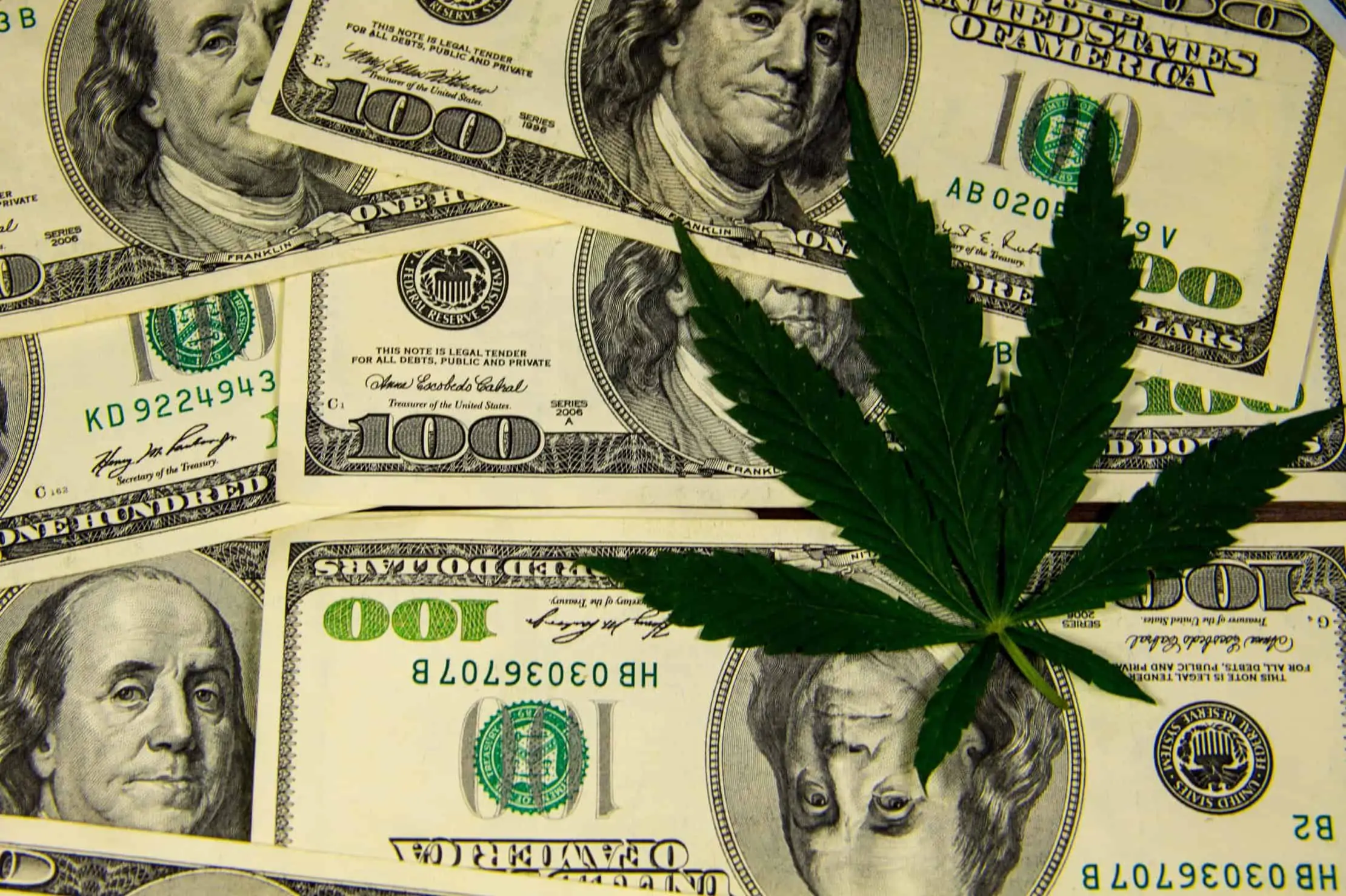 Cannabis Investing in 2019: What To Know