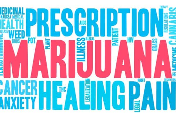 Learn About Becoming a Marijuana Caregiver. Medical words on a sign.