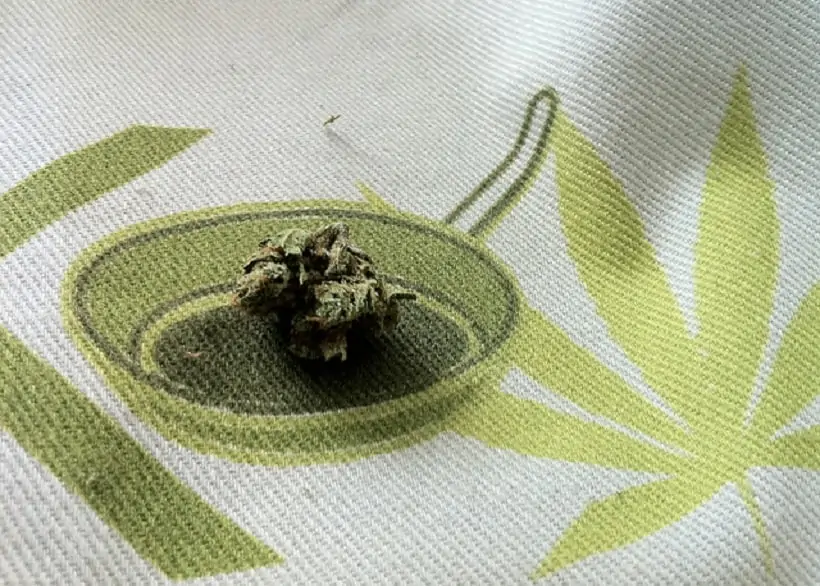Why You Should Consume Raw Marijuana. Marijuana bud on a blanket.