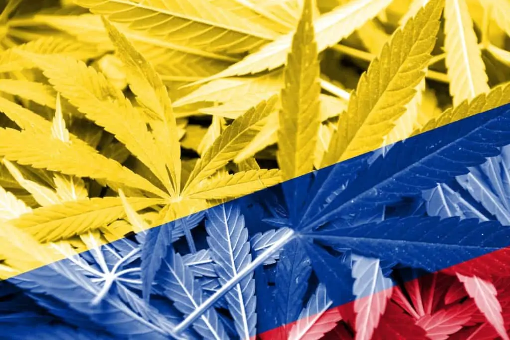 Marijuana from Colombia Headed To Canada. Weed leaves in yellow, blue and red.