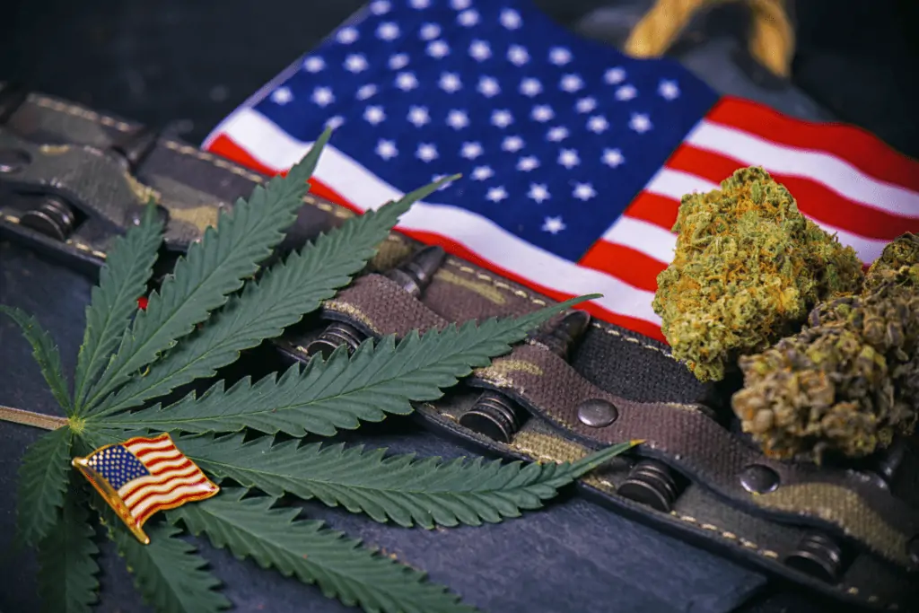 How Marijuana Consumption Can Help Veterans. American flag with marijuana bud and leaf.