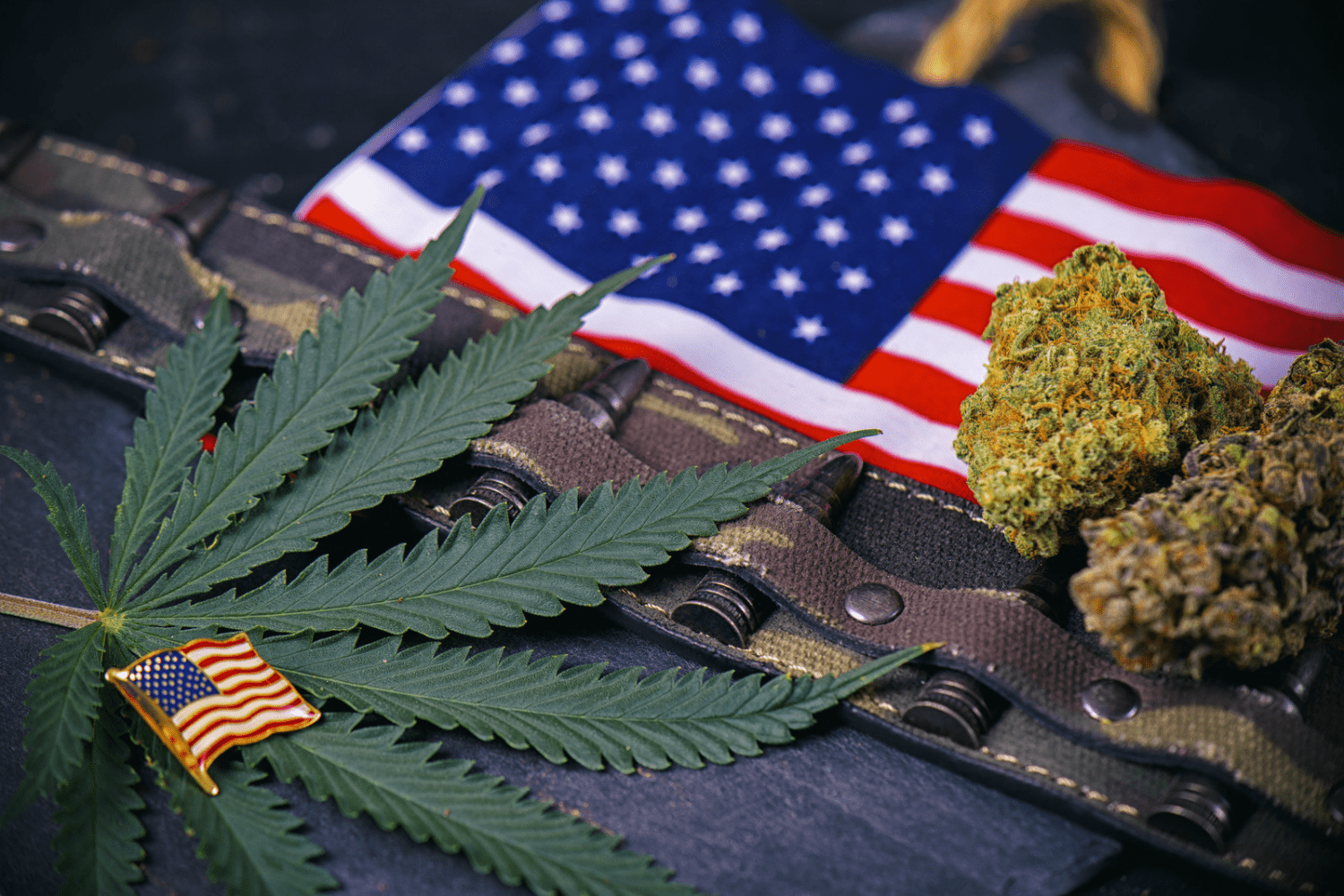 How Cannabis Consumption Can Help Veterans