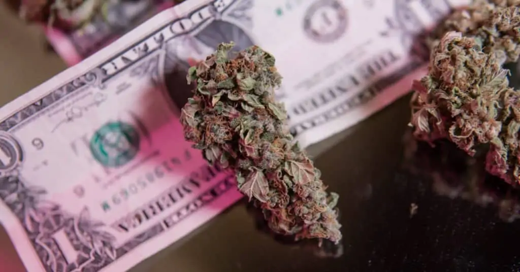 How Deficiencies In Marijuana Banking Impair Business Owners. Marijuana bud on top of a dollar bill.
