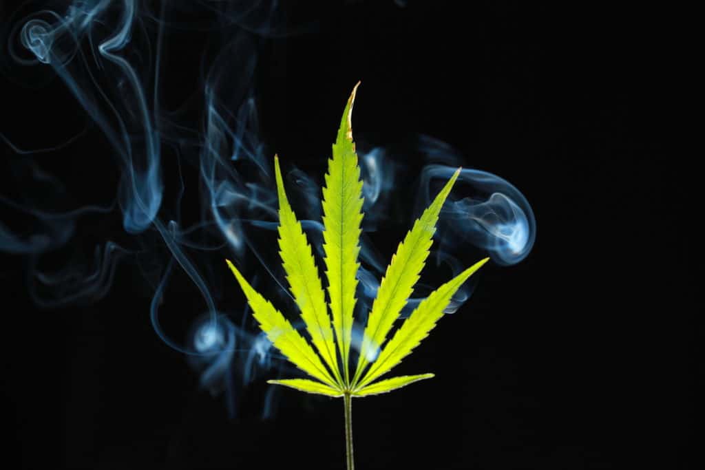 How to Improve Your Marijuana Smoking Experience. Marijuana leaf with smoke surrounding it.