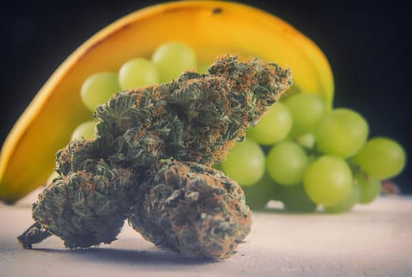 Our 15 Favorite Fruit-Flavored Marijuana Strains. Buds, grapes and a banana.