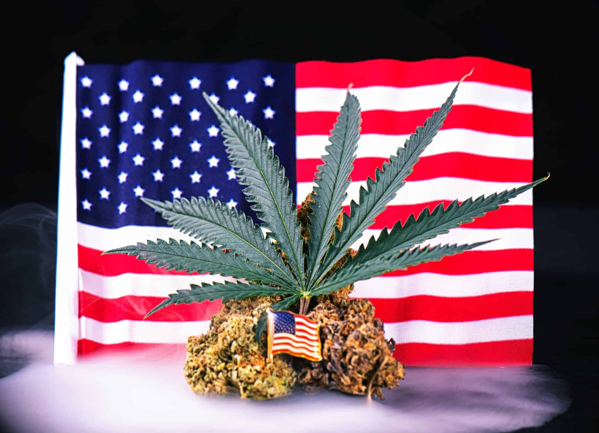 These Two Pieces of Recent Cannabis Legislation Could Be Huge