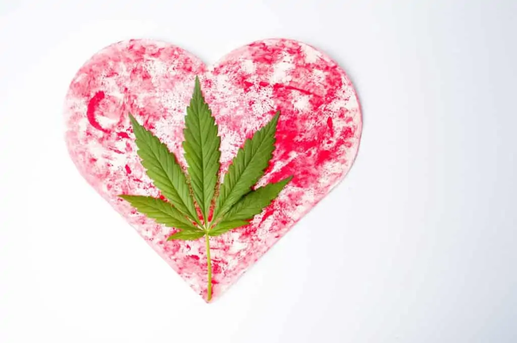 Valentine’s Day Marijuana Strains to Share with Your Sweetheart. Heart with a marijuana leaf on it.