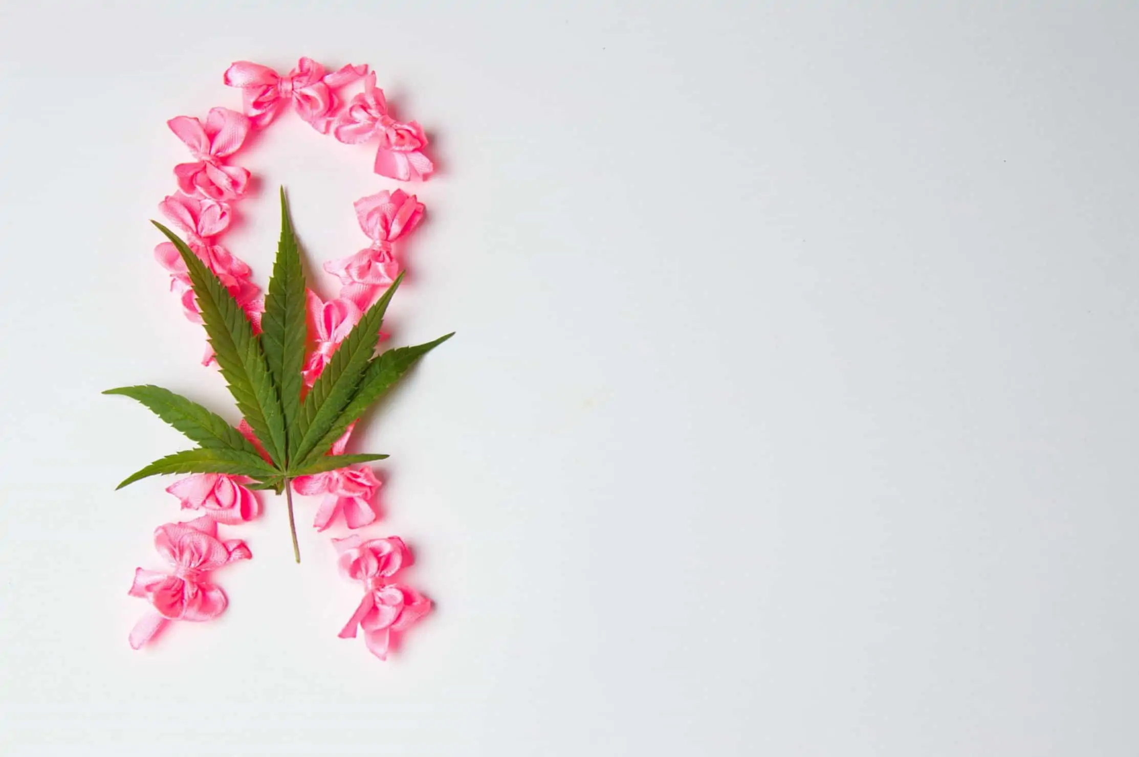 Medical Marijuana Compounds For Breast Cancer Treatment