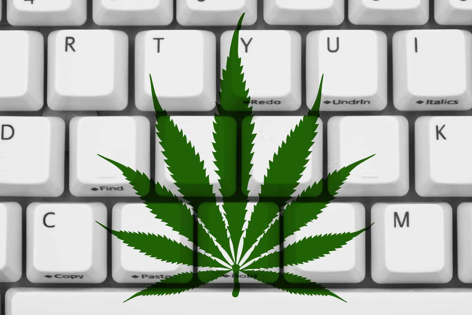 Discover the Top Five Benefits of Online Cannabis Learning