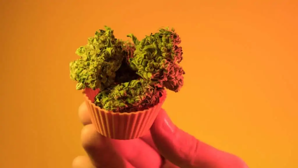 Important Tips for Maximizing Marijuana Flavor. Flower buds