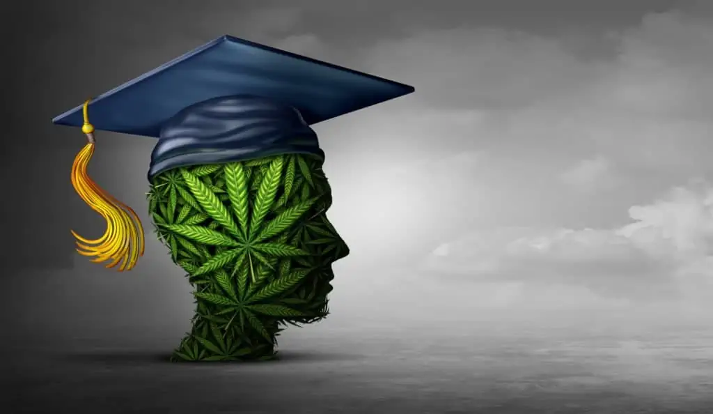 April is a Great Month to Start Your Marijuana Training. Marijuana head with cap on