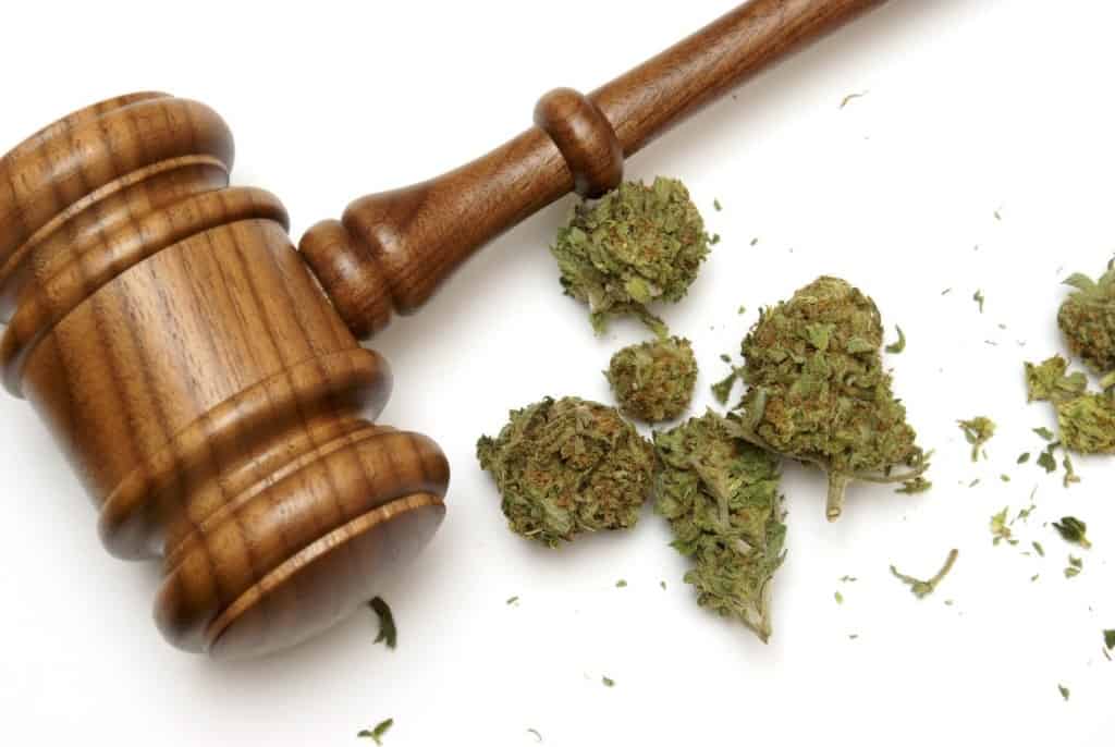 Things You Should Know About Effective Marijuana Regulation