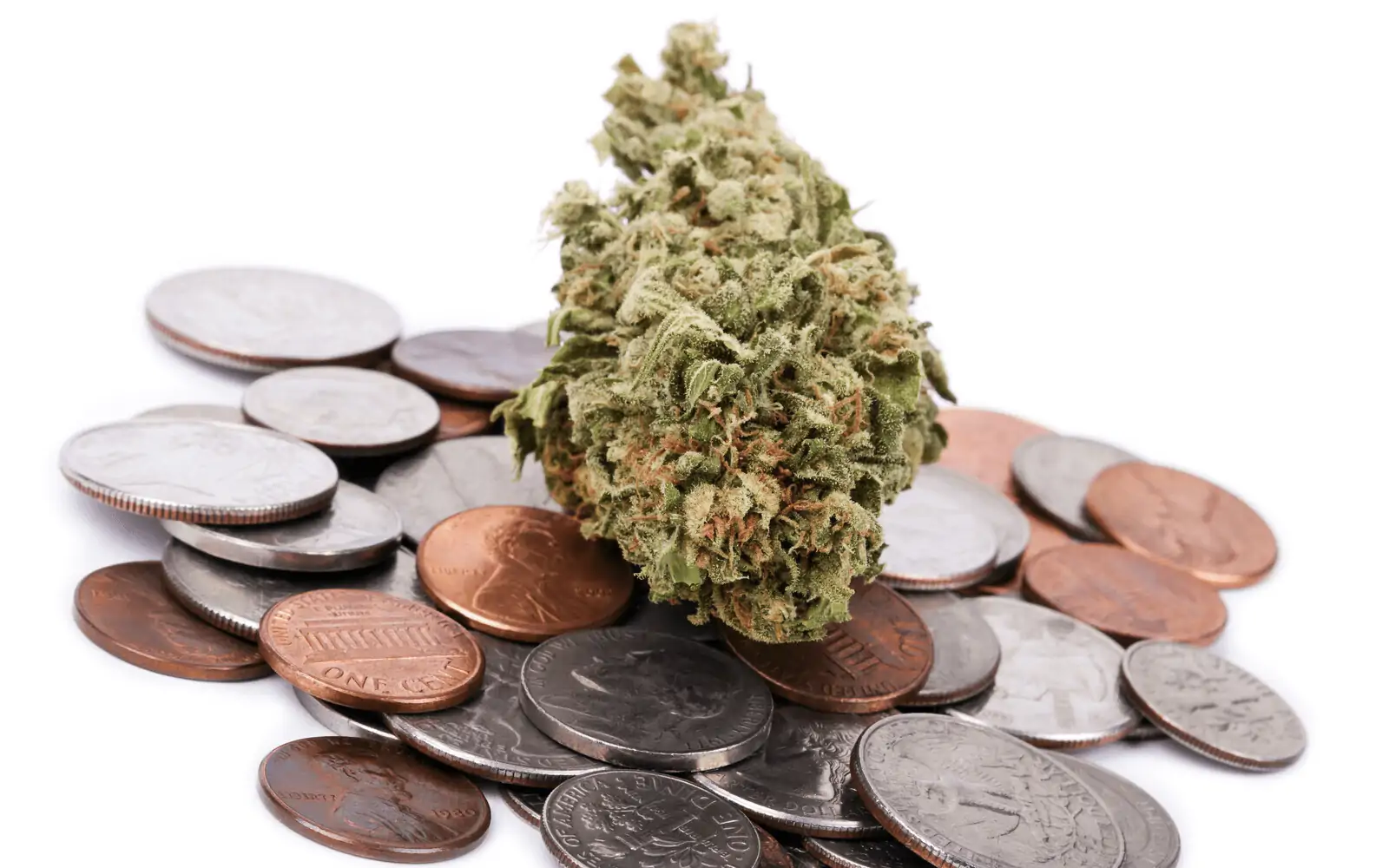 Why You Might Want To Invest in the Marijuana Industry