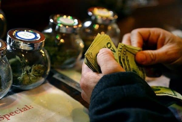 The Importance of Ancillary Marijuana Companies. Cash handling