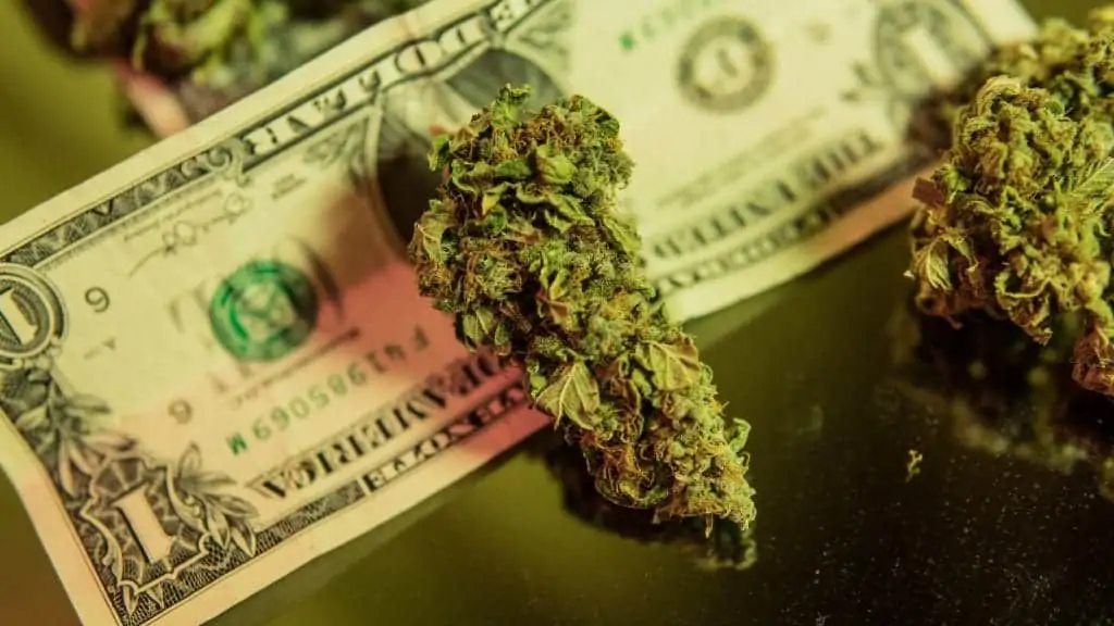 Tips for Being A Successful Cannabis Business Owner