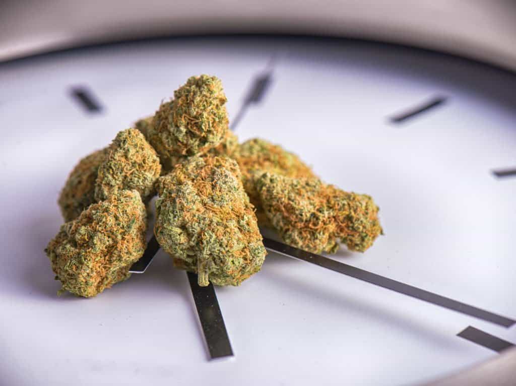 Will Cannabis Become Legal in 2020? 1 Will Marijuana Become Legal in 2019? Cannabis buds on a clock.
