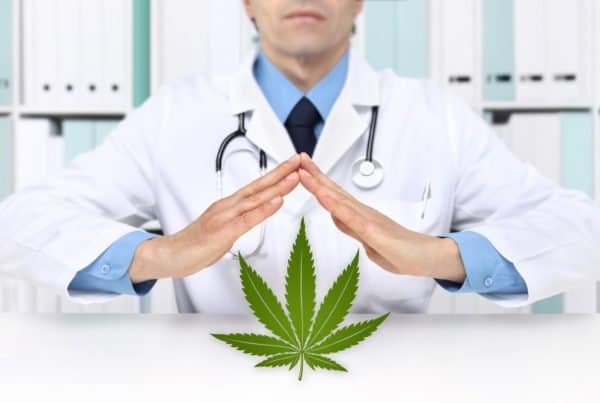 A doctor holding a marijuana leaf, conducting an assessment of cannabis users and their medical conditions.