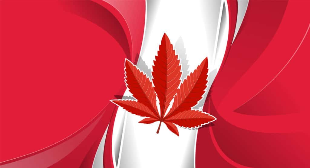 Cannabis Education in Canada 1 Marijuana Education in Canada. Canadian flag with red marijuana leaf.