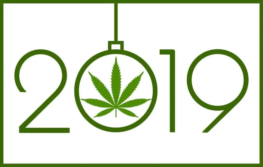 Marijuana expectations for 2019. 2019 sign with marijuana leaf.