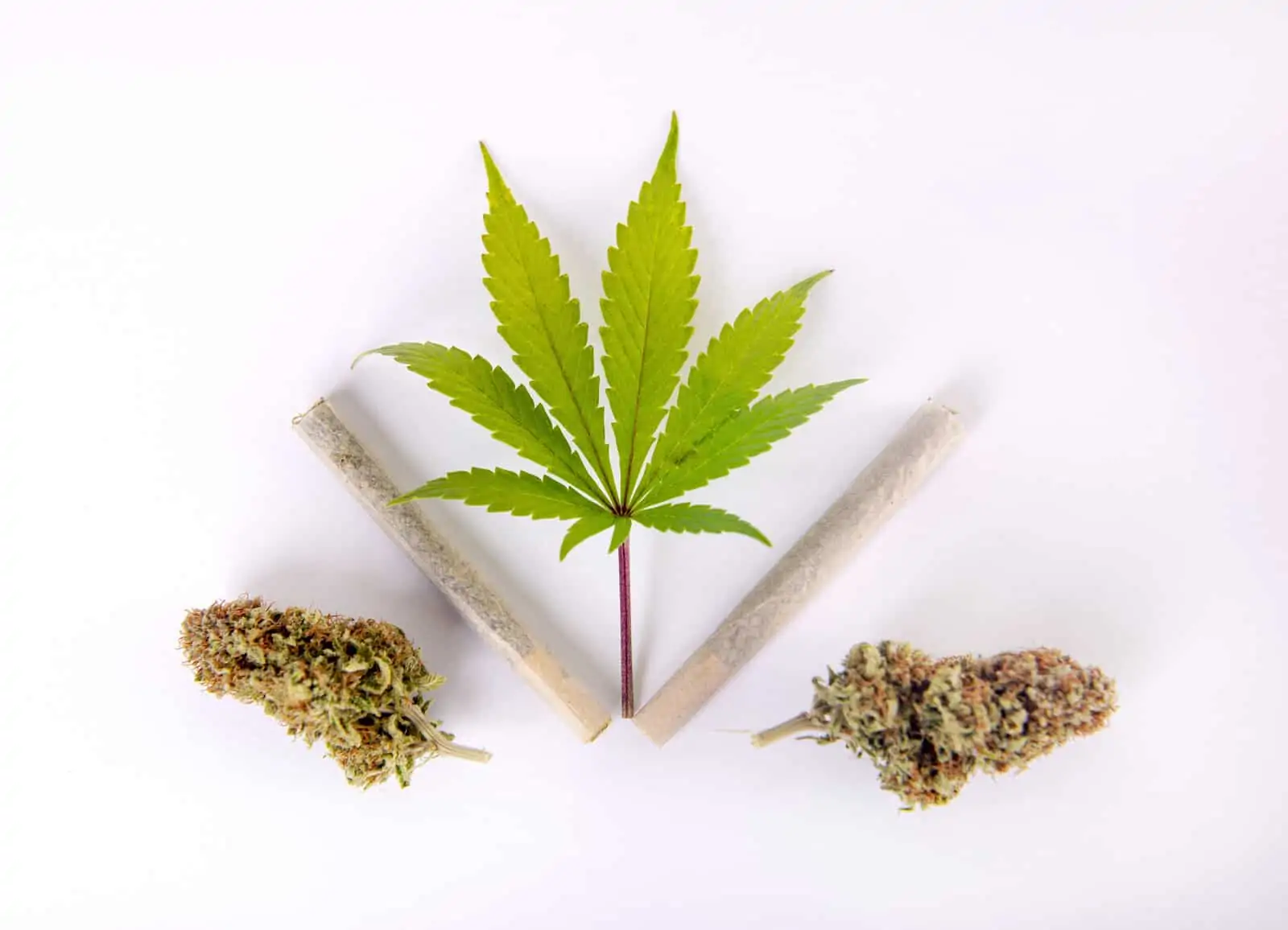 Federal Bill Introduced For Cannabis Legalization
