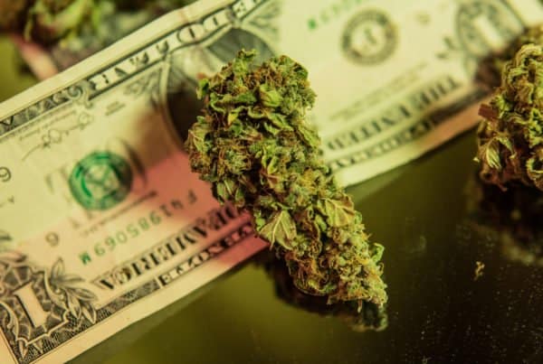 First Credit Union To Offer Services To Marijuana Business Owners. Marijuana buds on a dollar bill.