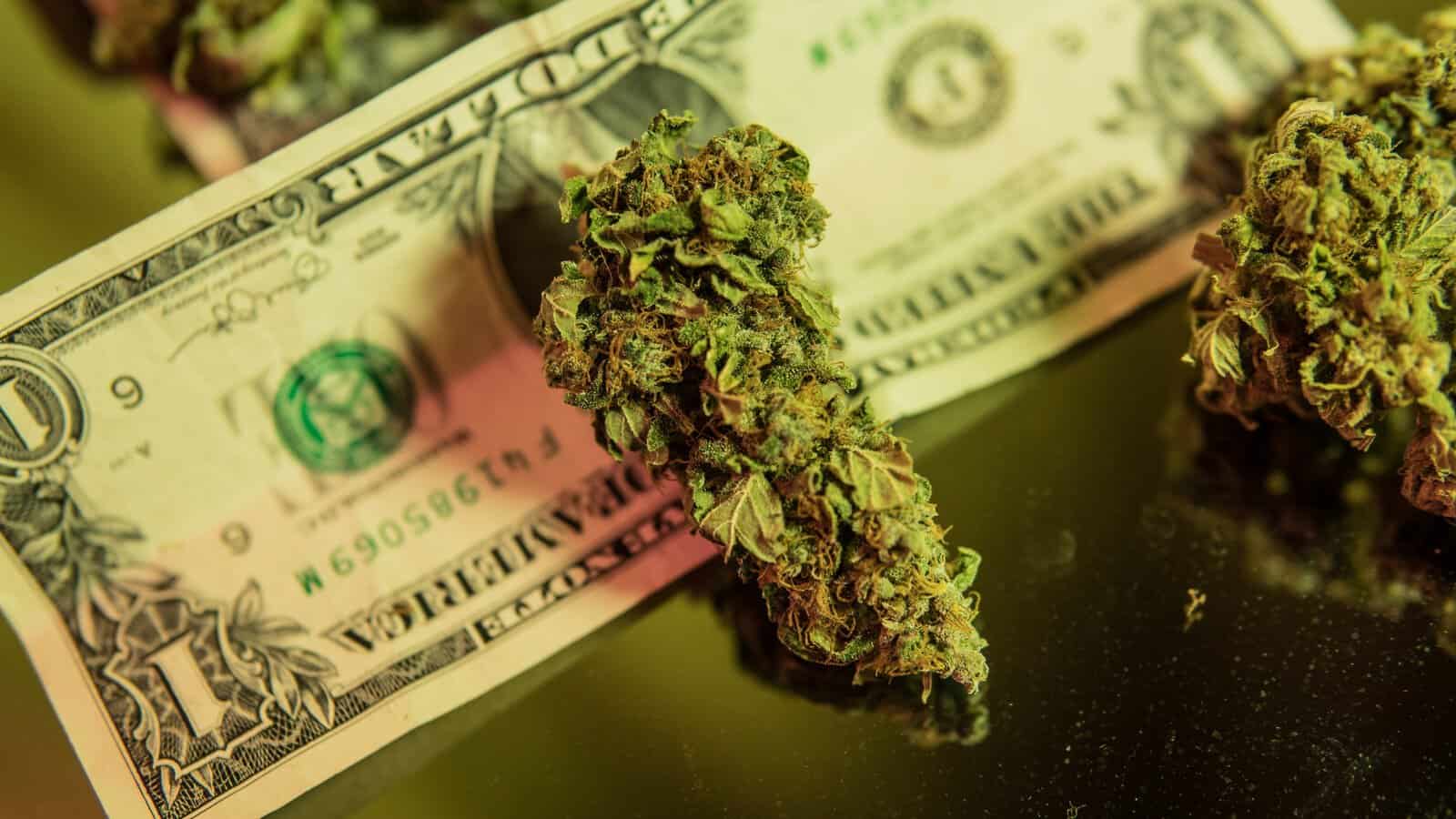 First Credit Union To Offer Services To Cannabis Business Owners