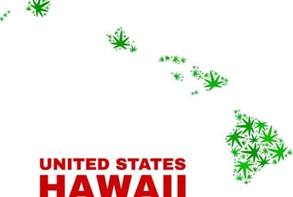 Hawaii Vacation: Marijuana Visitors Program. Map of Hawaii in marijuana leaves.