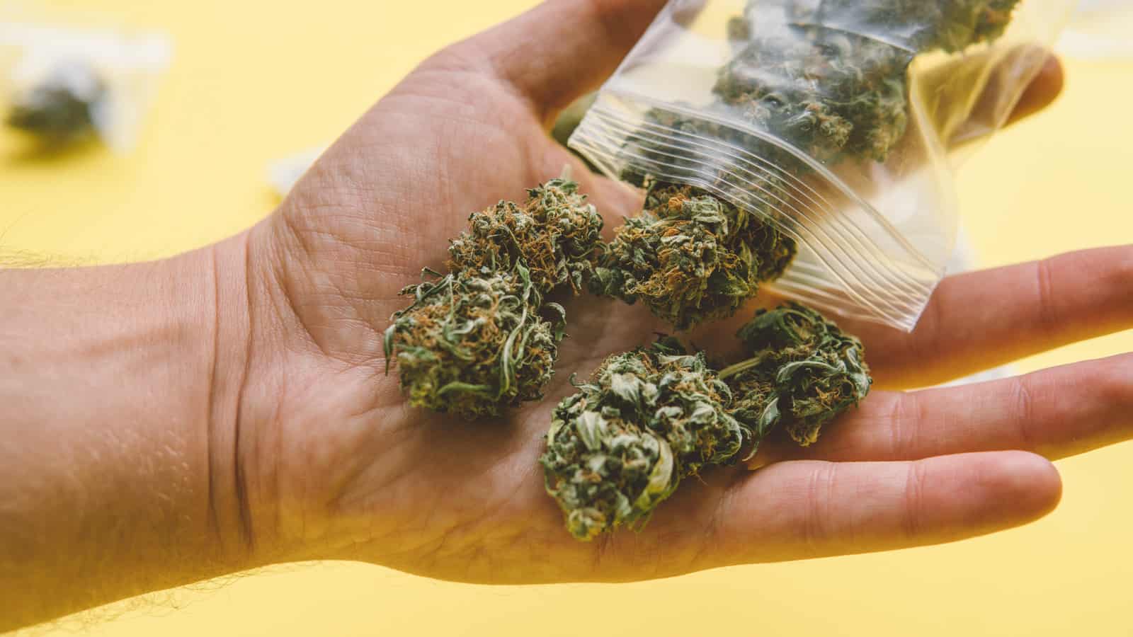 How Marijuana Dispensaries Can Improve Customer Service
