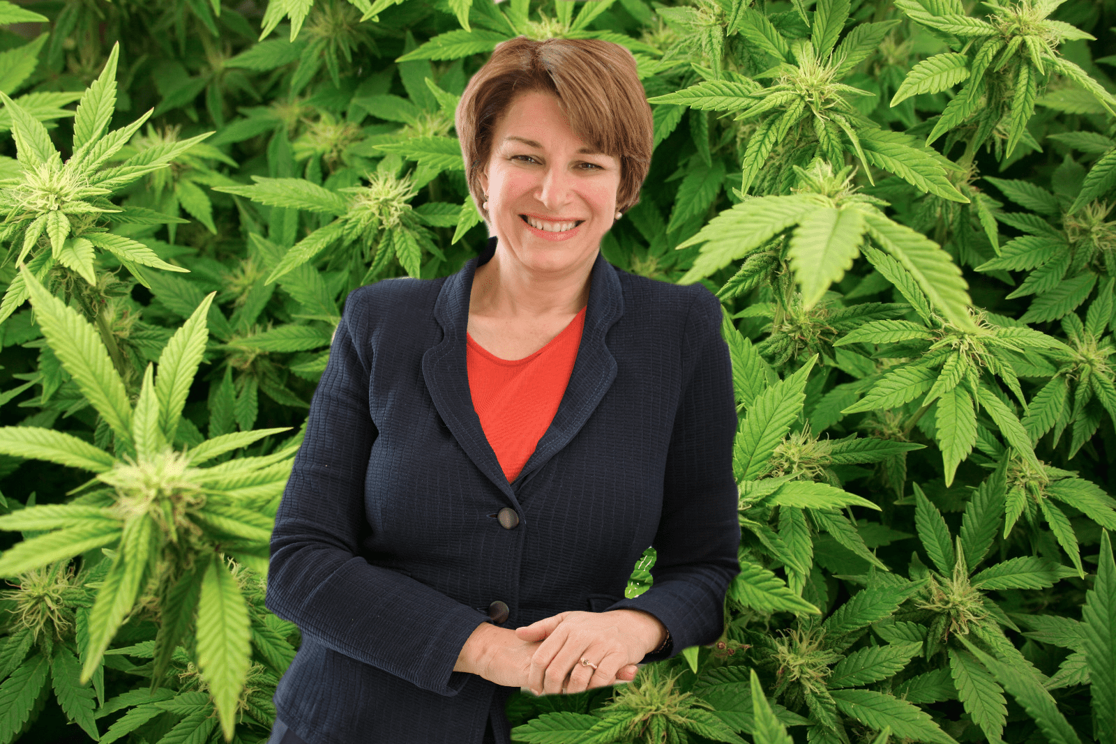 Marijuana Views of Presidential Candidate Amy Klobuchar