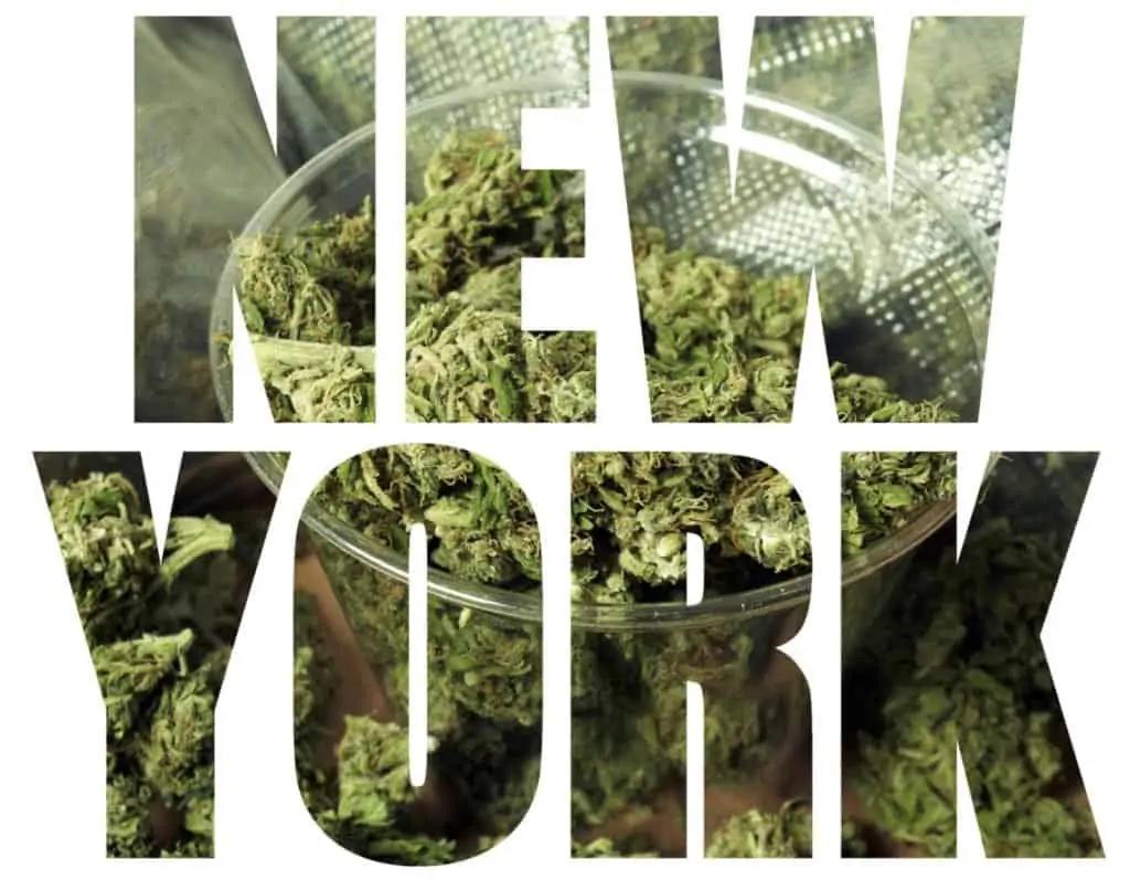 Momentum Gaining For New York Marijuana Legalization. New York sign.
