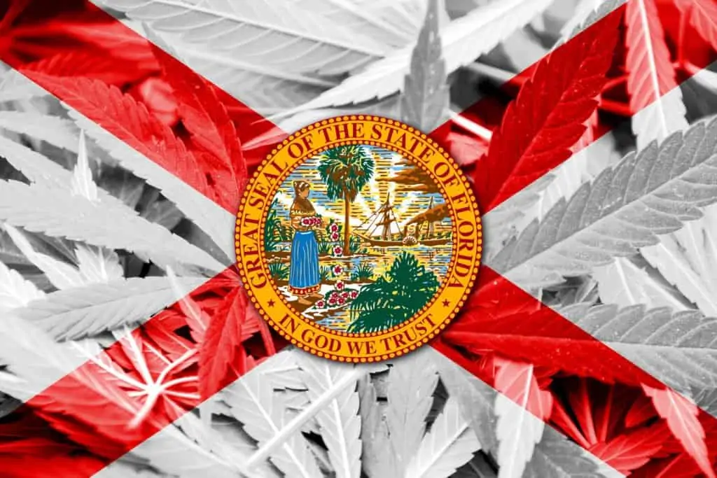 Pending Legislation For Cannabis Bills in Florida