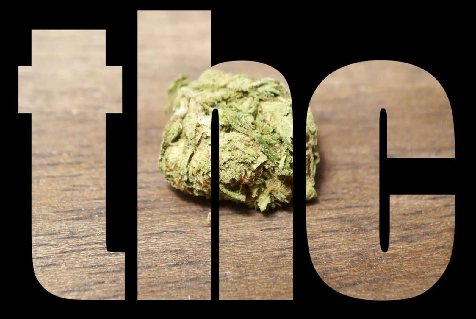 Recent Cannabis Research Shows Importance of THC