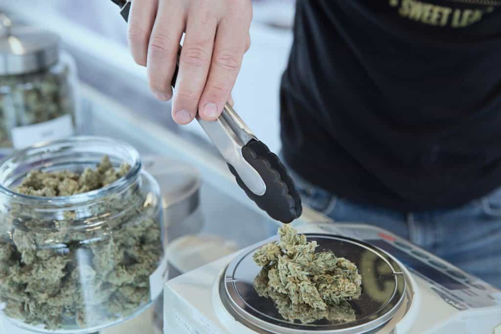 person weighing cannabis flower on a scale. Budtender. Budtending. 