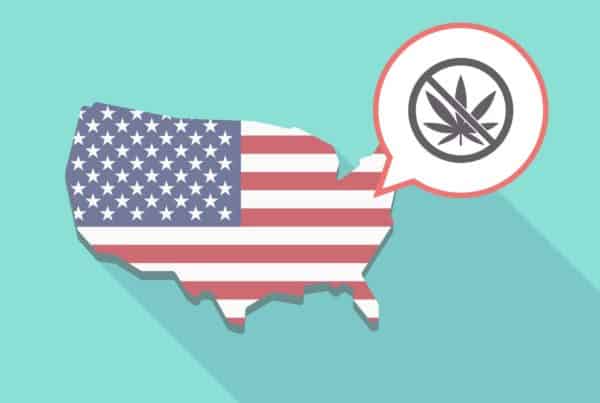 A map of the USA with a cannabis leaf