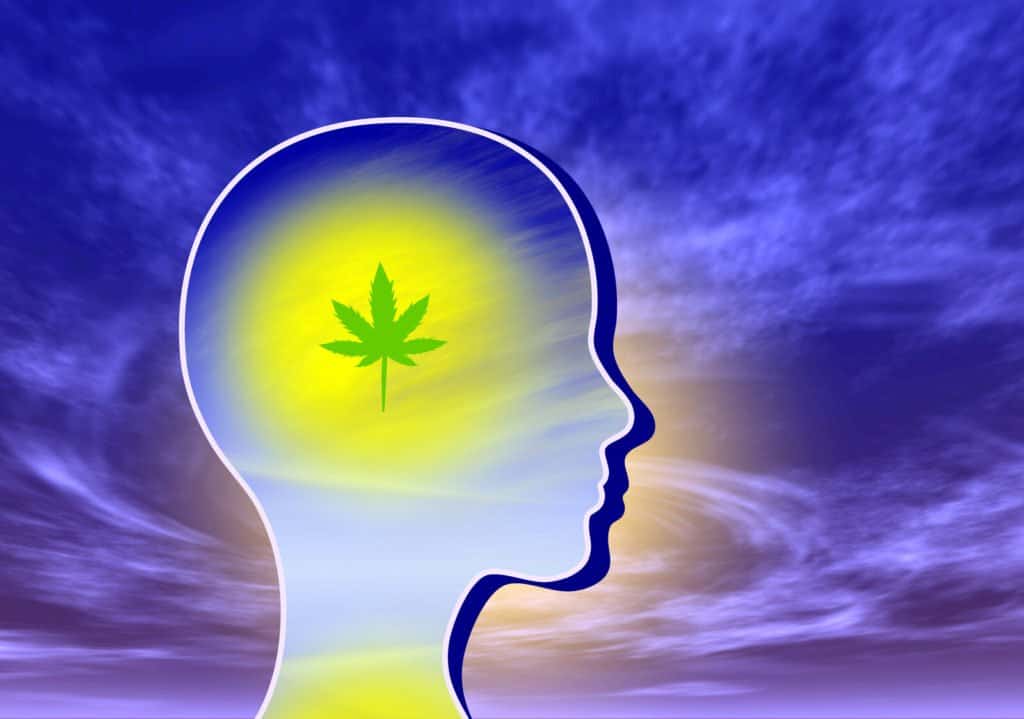 drawing of head with marijuana leaf in it, how to deal with marijauna brain fog