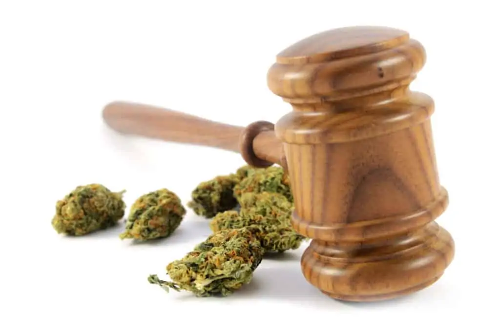 How to Start a Career as a Marijuana Lawyer