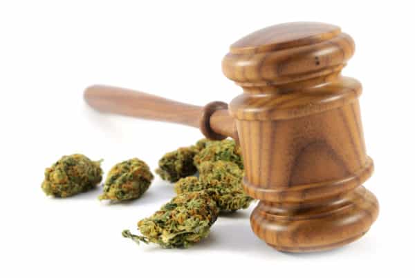 Cannabis Lawyer