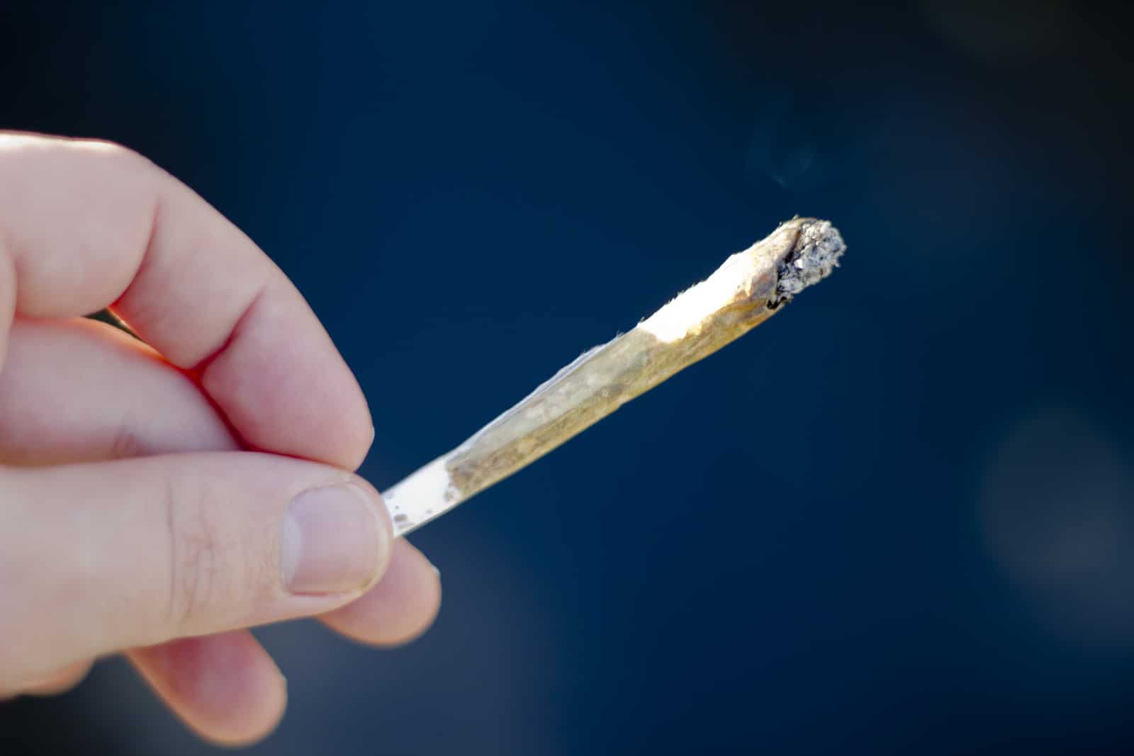 Marijuana Tolerance and What You Should Know