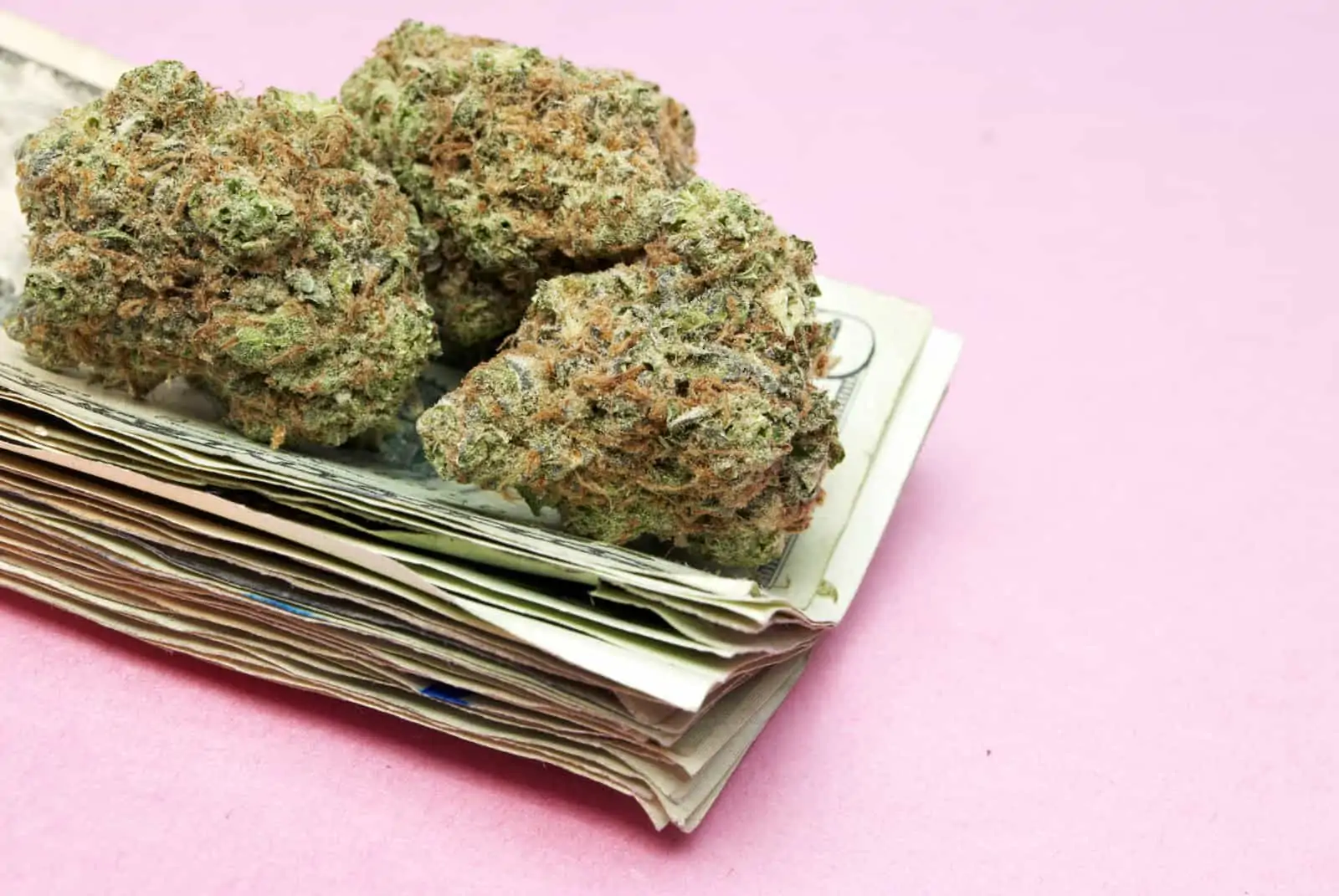 What You Should Know During Your Cannabis Purchase