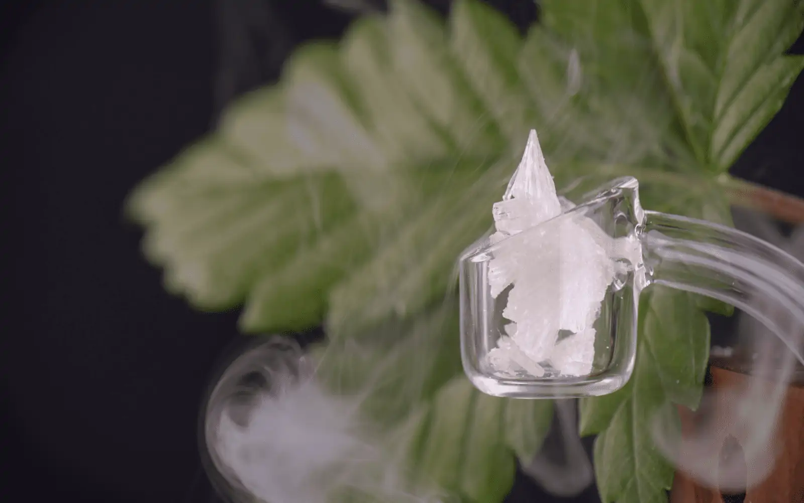 What are THCA and CBDA Crystals?