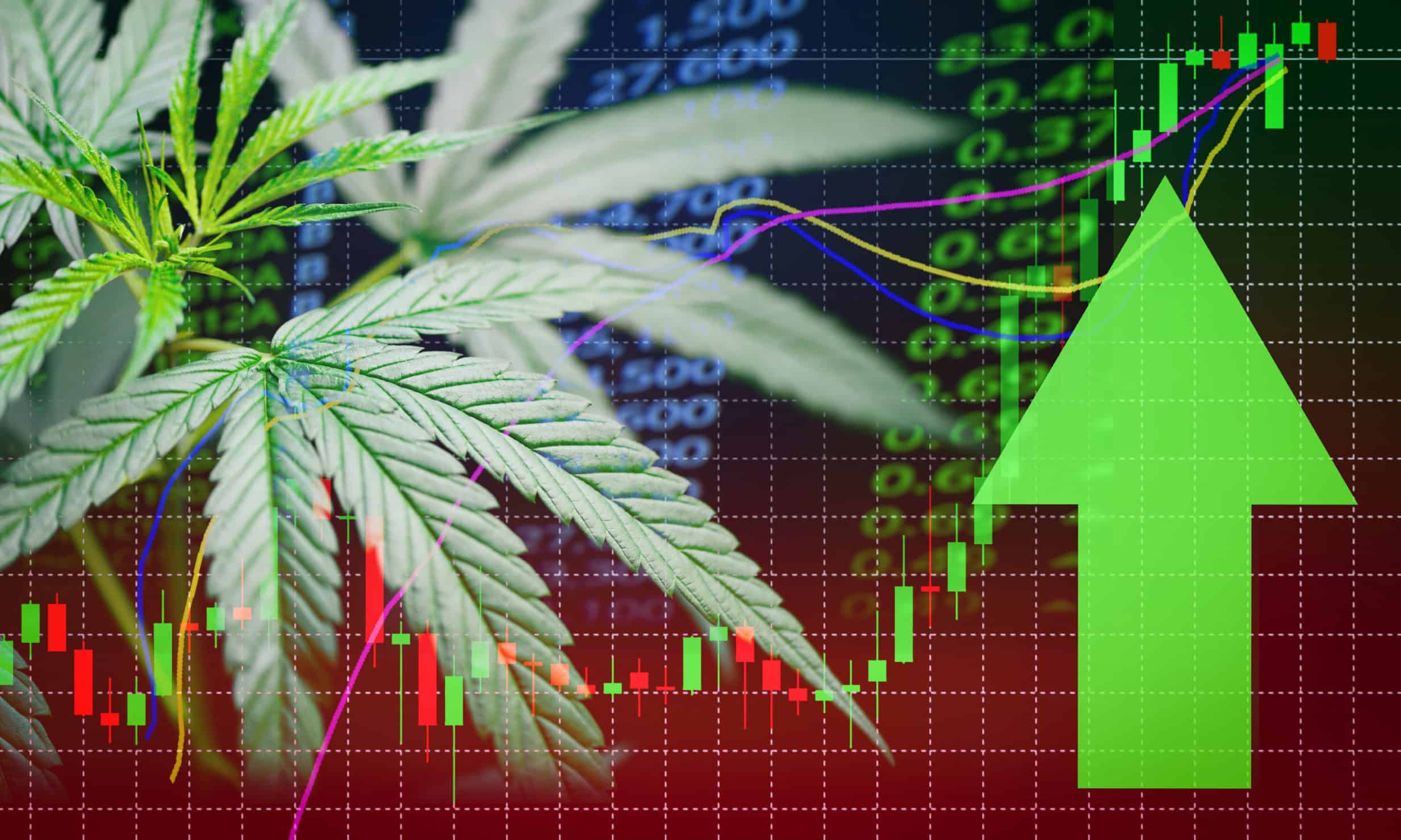 What to Know About the Cannabis Stock Bubble