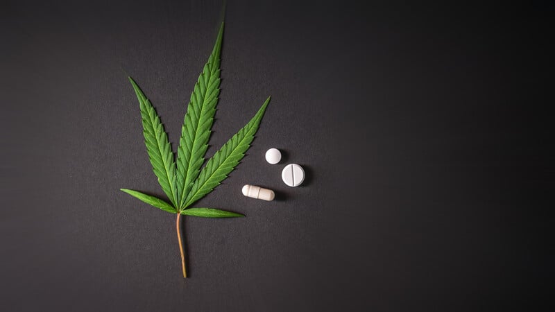green cannabis leaf next to white pills