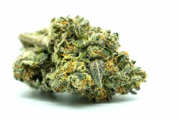 marijuana bud isolated on white