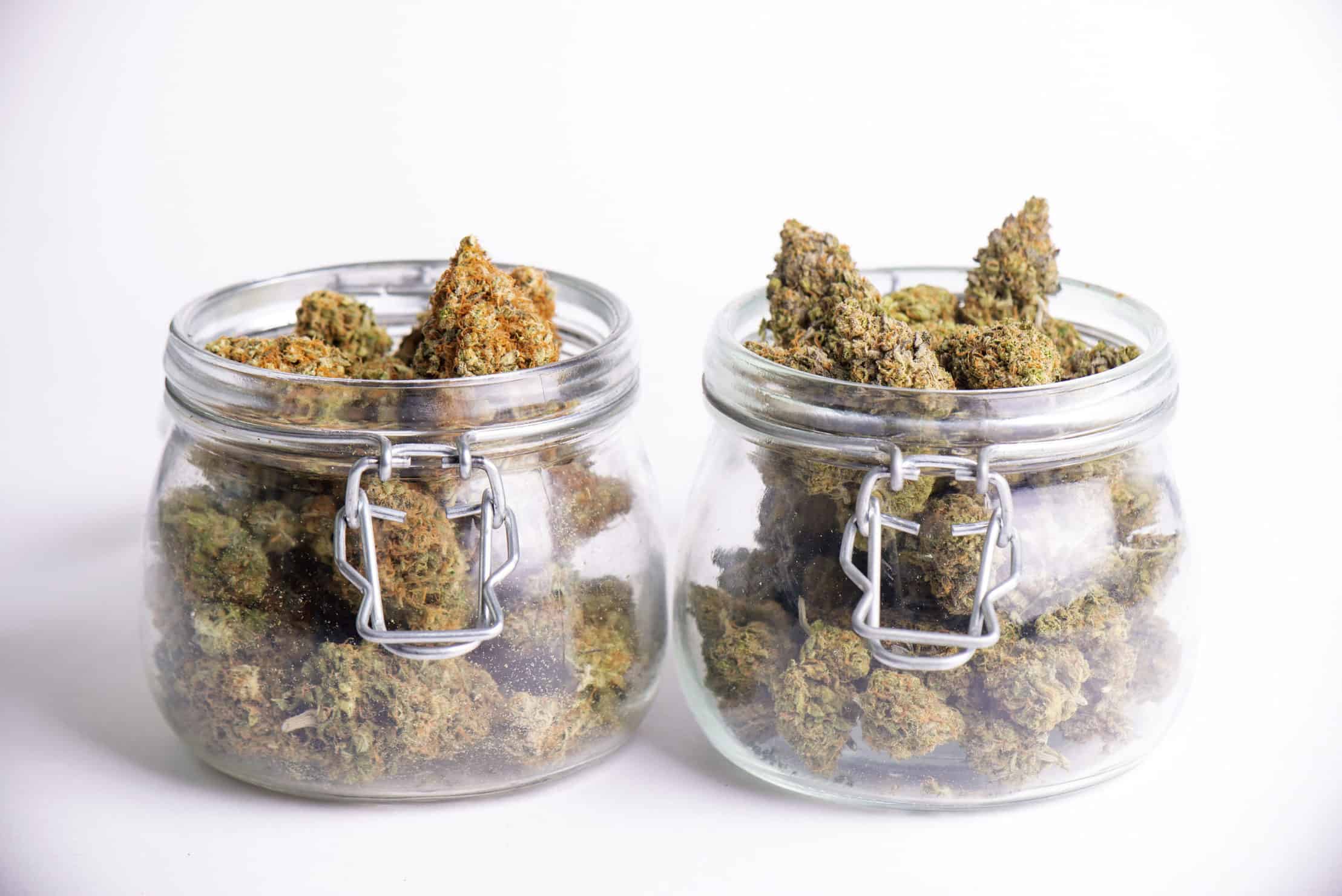 9 Must-Try Eighths for California Visitors