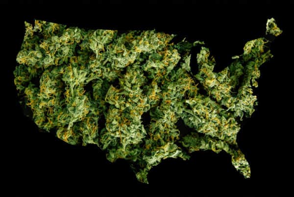 Cannabis Legalization. Legalize marijuana in the United States