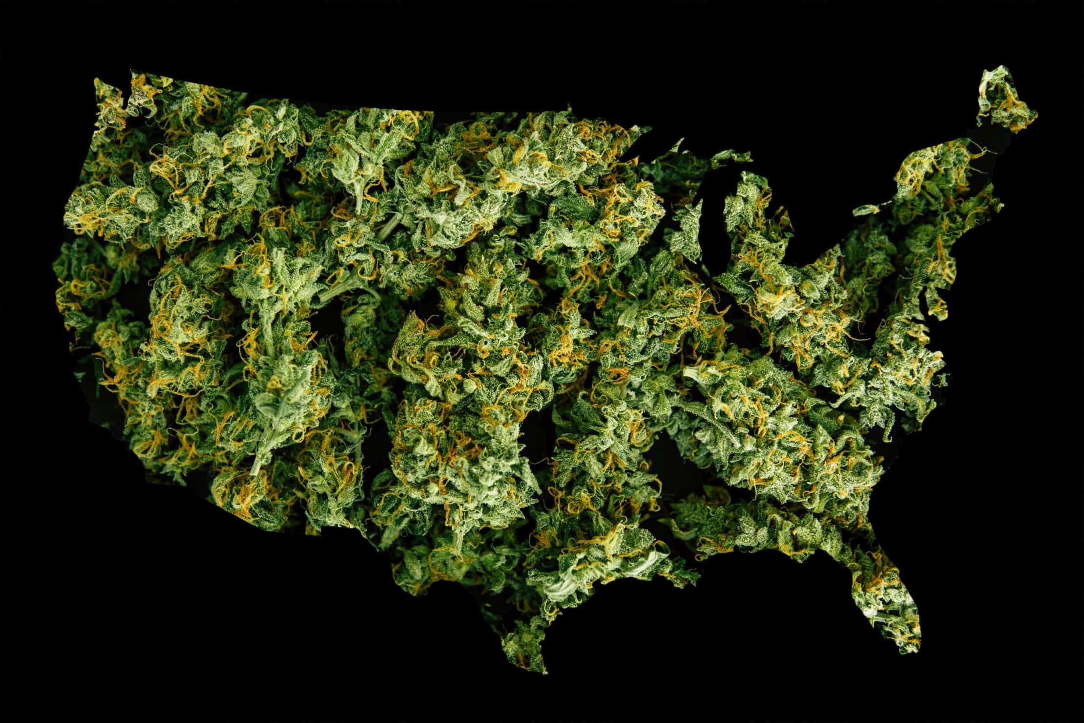 91 Percent of Americans Support Cannabis Legalization