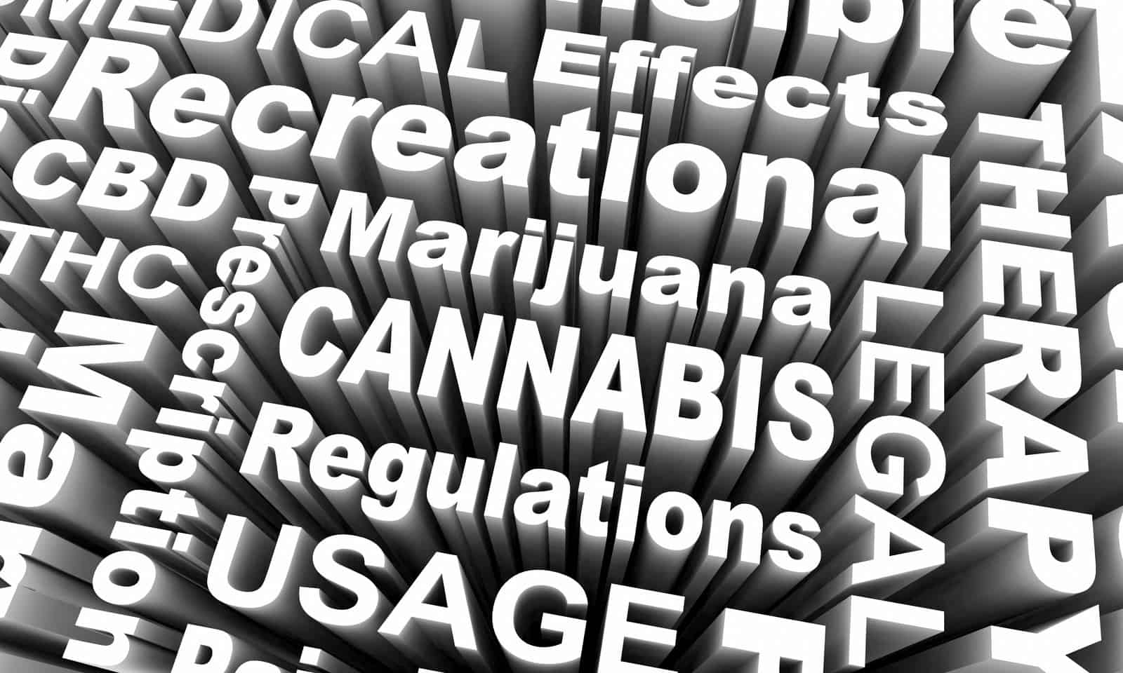 Marijuana Stocks Way Up after Cannabis Legalization Bill Approved
