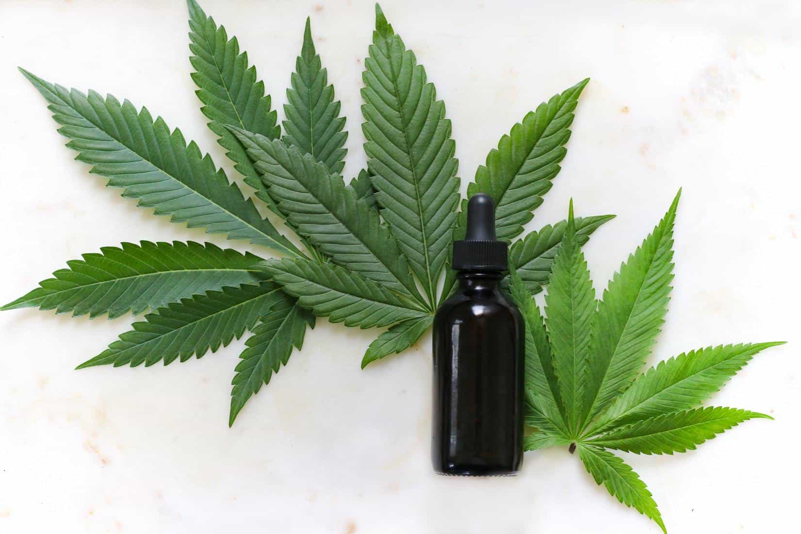 What is Cannabis Essential Oil and How Do You Use It?