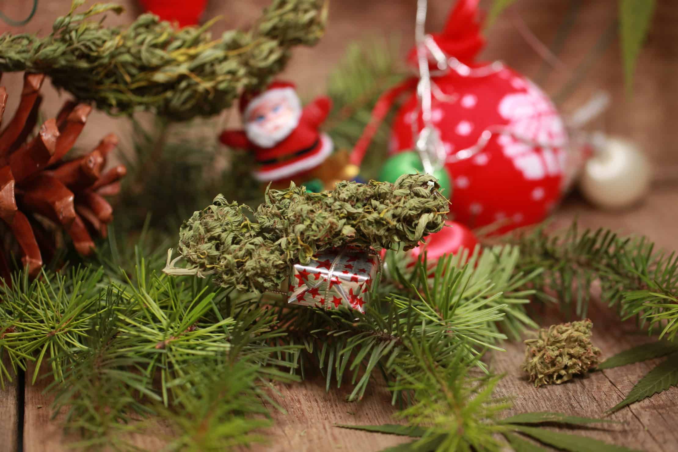 11 Best Stoner Movies for Christmas