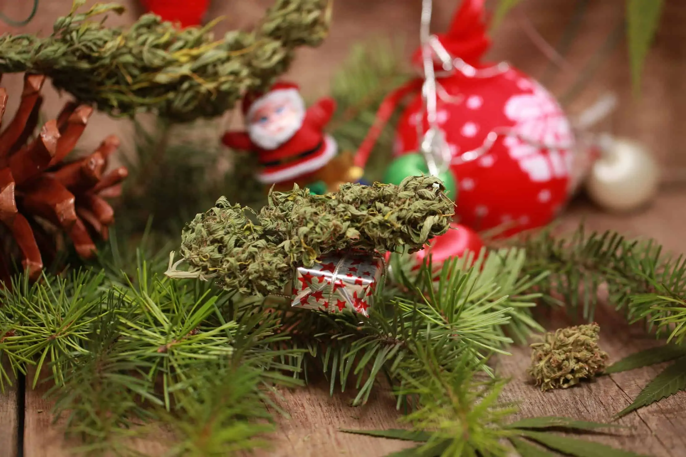 Best Stoner Movies for Christmas
